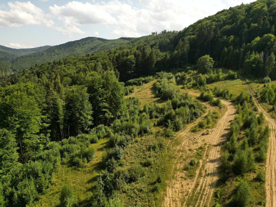 OFERTĂ Teren 3,5 HA Sucevița